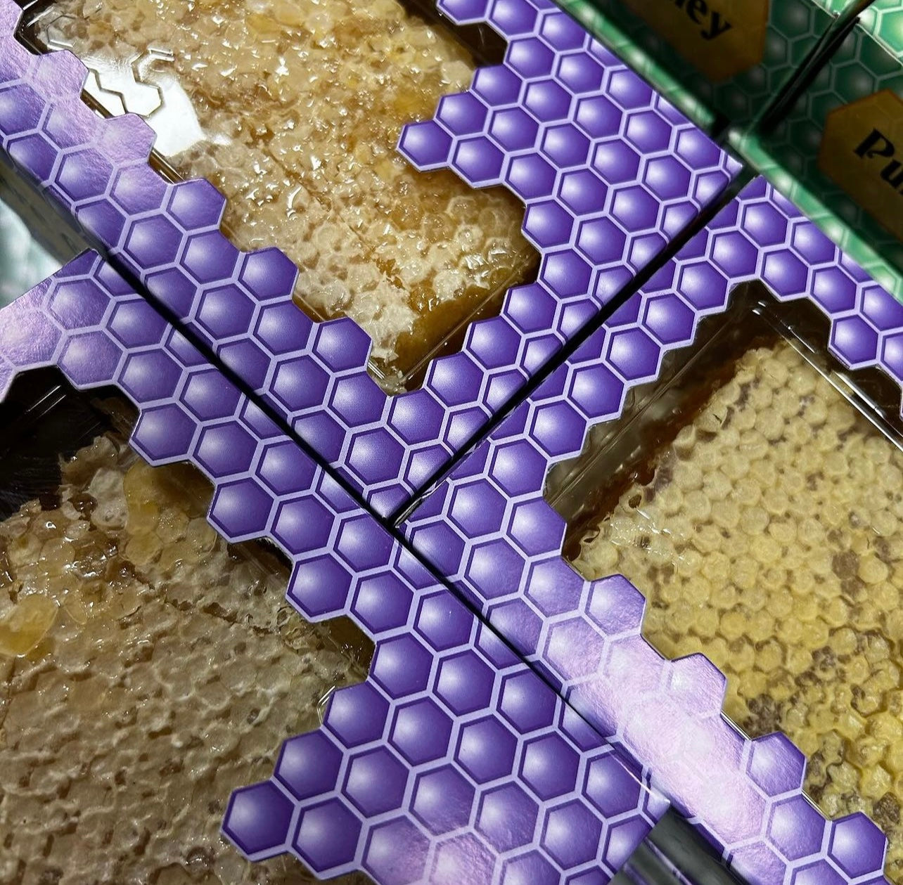 BEE SCHOOL HONEYCOMB