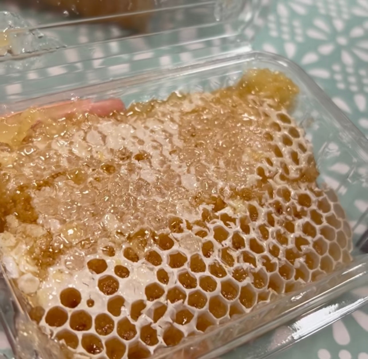 BEE SCHOOL HONEYCOMB