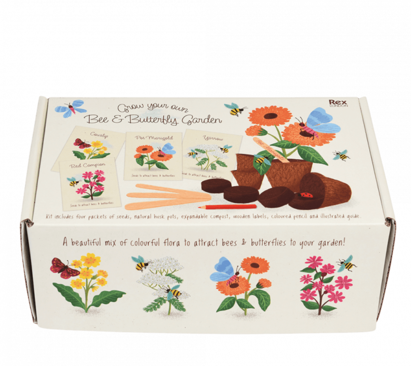 Flower Growing Kit Bee and Butterfly