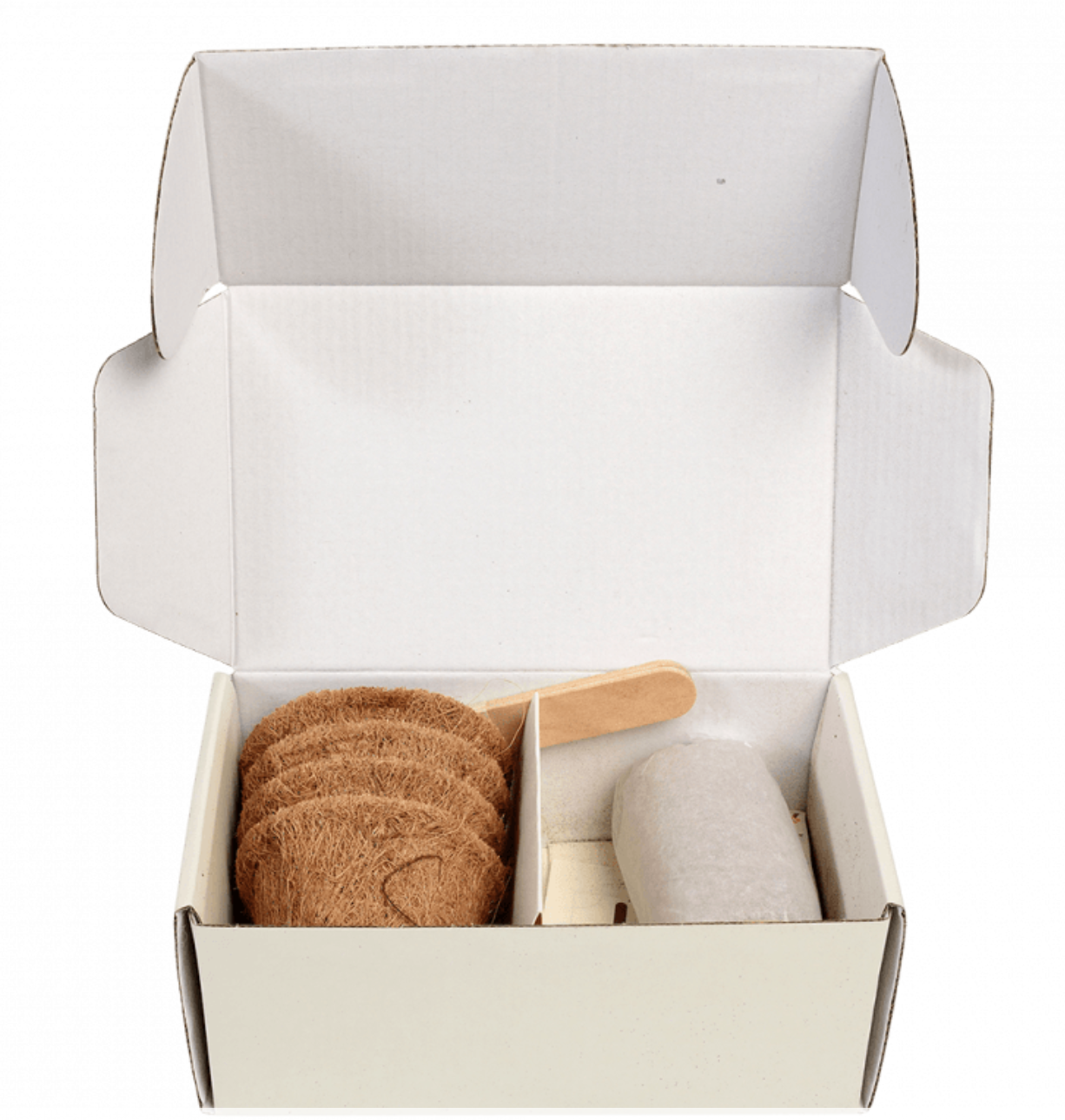 Flower Growing Kit Bee and Butterfly