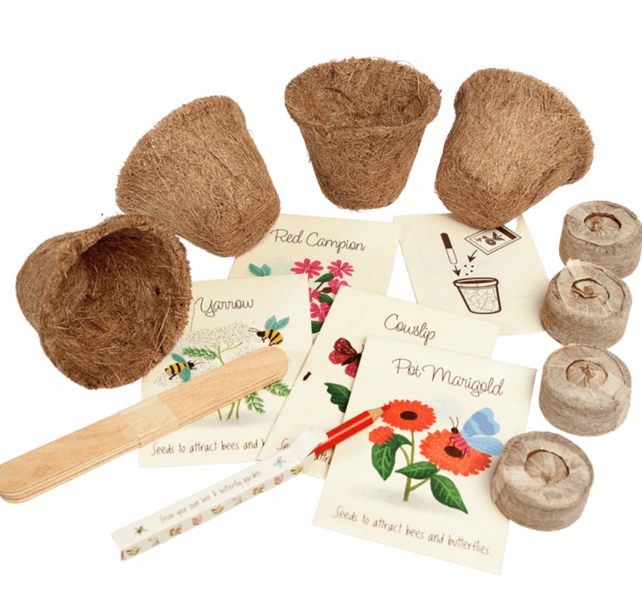 Flower Growing Kit Bee and Butterfly