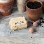 Seed Balls