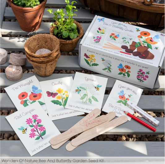 Flower Growing Kit Bee and Butterfly