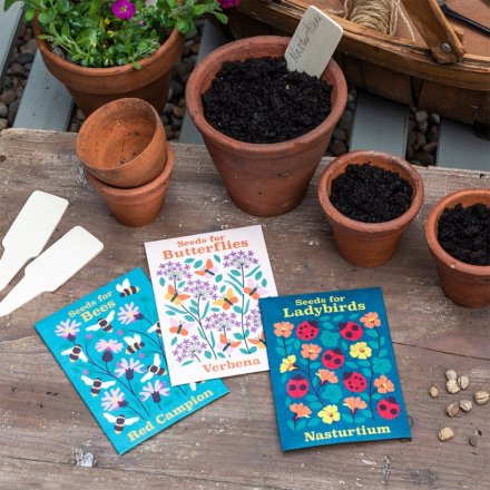 Nature Seeds